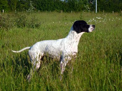Galice des Buveurs d\'Air