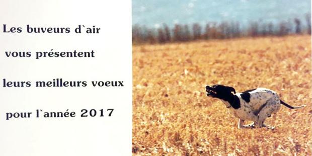Joyeuses fêtes de fin d'année