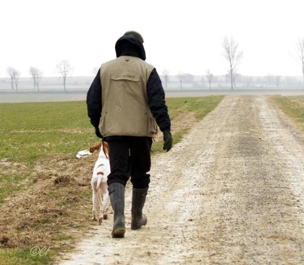 Barbotan-les-Thermes : une nationale qui a du chien !