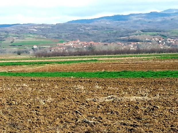 Galice 4ème ex, Faël et Gost TB