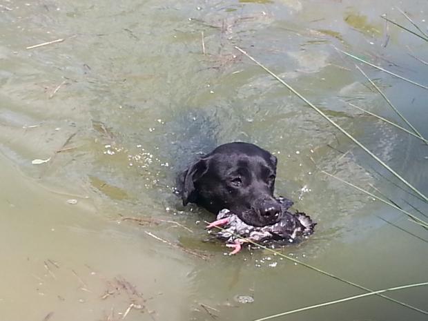 Ecole des Buveurs d'Air, session de mai